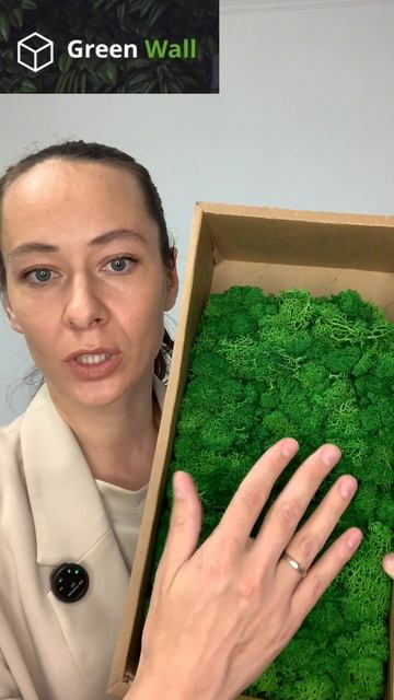 Вертикальное озеленение. Искусственные растения. Мох. Коряги.