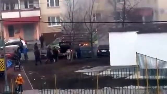 Приколы За рулем смотреть онлайн