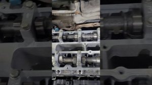 Форд фокус 2 1.6 100л.с. замена ремня грм.