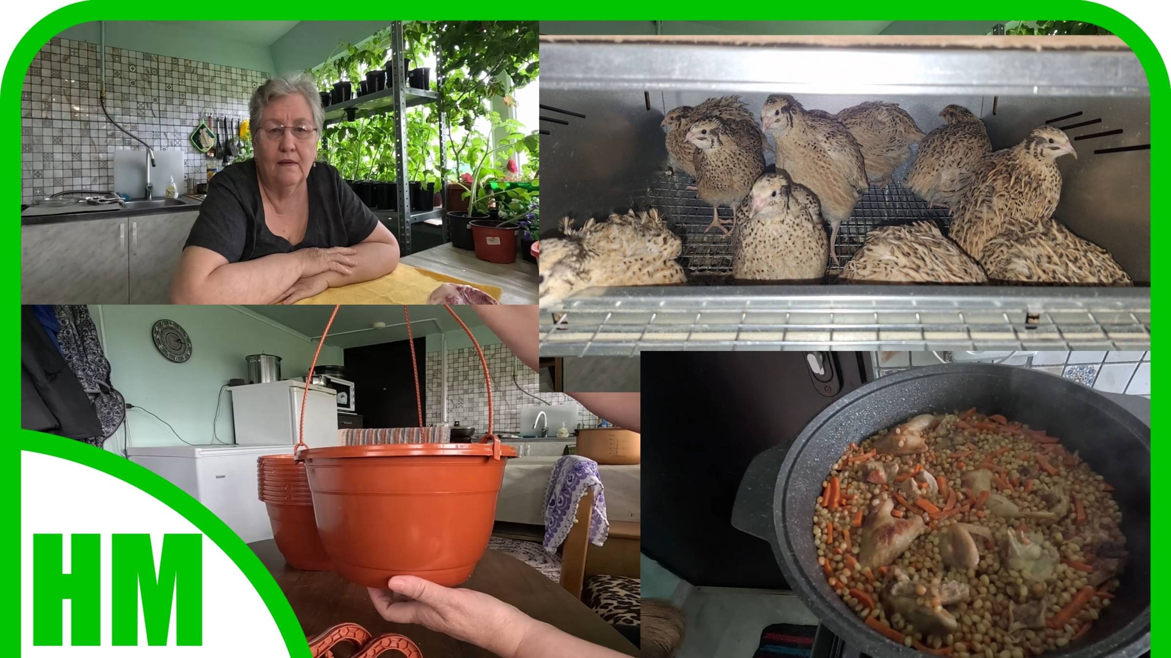 1 мая. А кто-то о них ничего не знает. Готовлю полбу. Купила новые подвесные кашпо. смотреть онлайн