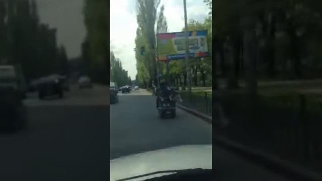 Будни Шарика смотреть онлайн