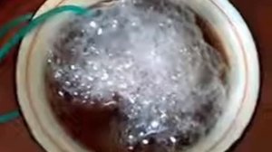 Очистка мяса от гормонов и антибиотиков озонированием