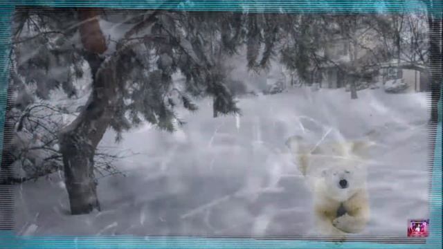 ТАМ, ГДЕ ВСЕГДА МОРОЗ смотреть онлайн