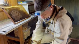 Первая прививка 1 мая 2025