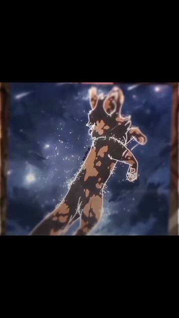 #КотыВоители#Рыжинка#Топ#Люблю