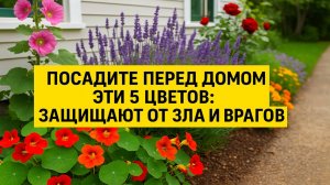 Посадите перед домом эти 5 цветов: они защищают от зла и врагов, от зависти, порчи и сглаза. Приметы