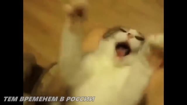 Лучшие приколы мира ! Русские приколы в ( России ) !!! №3 смотреть онлайн