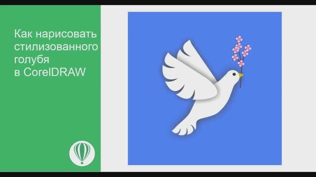 Как рисовать голубя в CorelDRAW смотреть онлайн