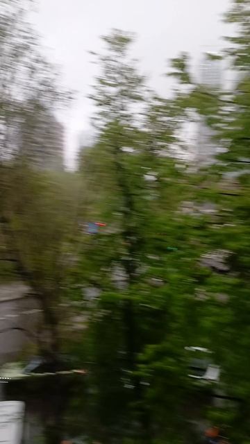 Московский трындец