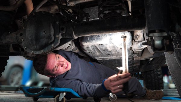 Это оживление вы запомните навсегда!