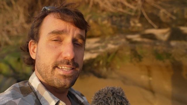 Обзор Sony A7S III за 3 года - 10 плюсов и минусов | Это ЛУЧШАЯ камера для покупки в 2025 году? смотреть онлайн