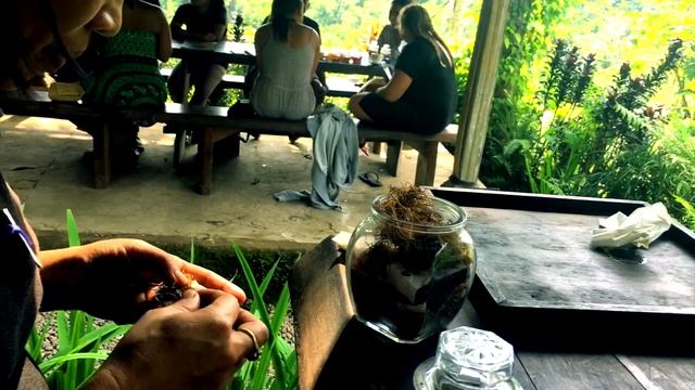 My-MICE/ Программа корпоративного мероприятия в Индонезии смотреть онлайн