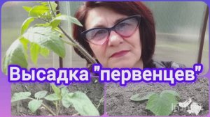 Когда высаживать рассаду в теплицу? 🤔