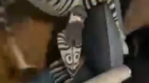 Мадагаскар 2   я сломал твой iPod ; 240