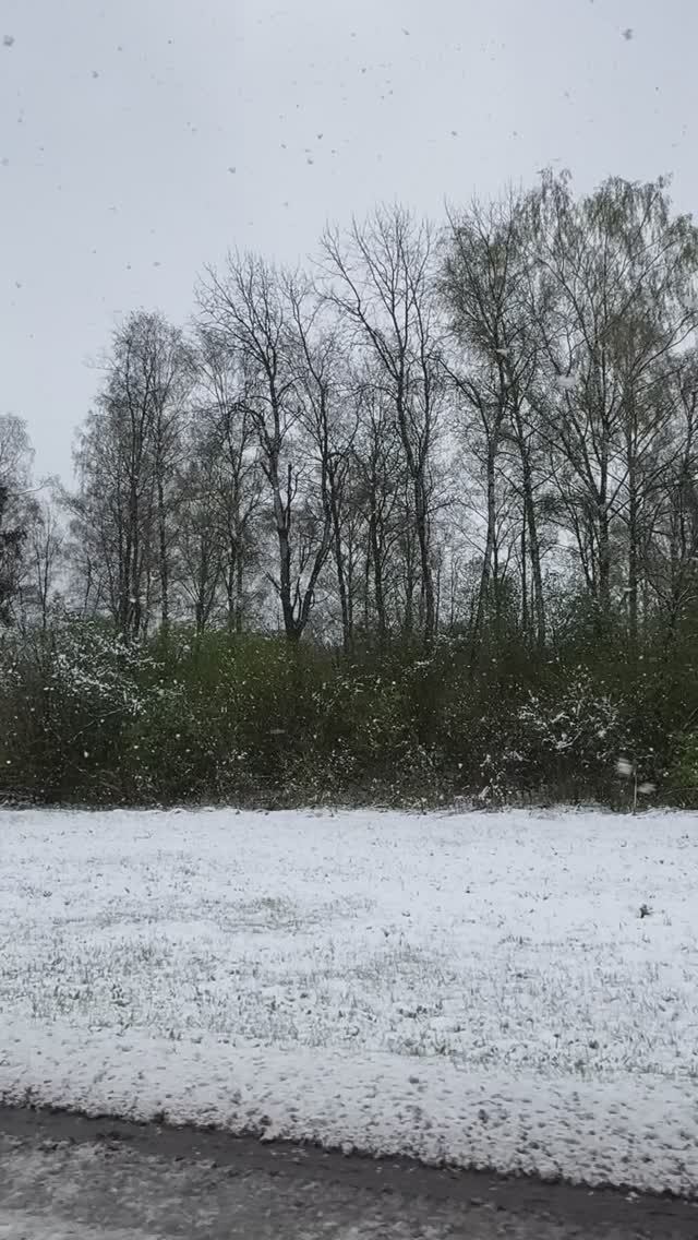 Снежный Первомай #1мая смотреть онлайн