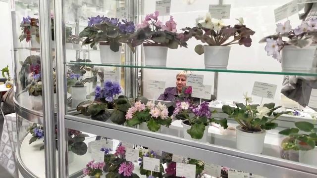 Активный выходной. Идем на выставку урожая смотреть онлайн