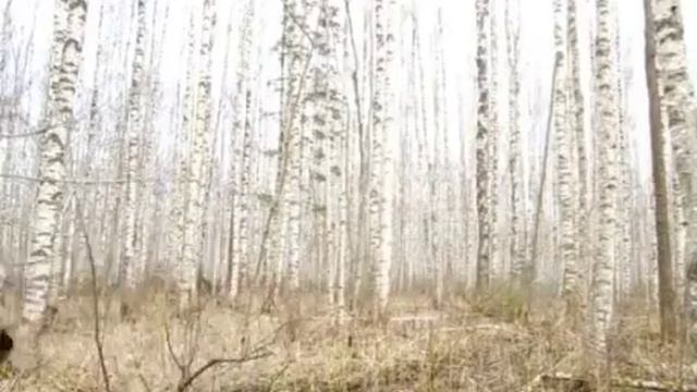 Немецкая петарда 150мм смотреть онлайн