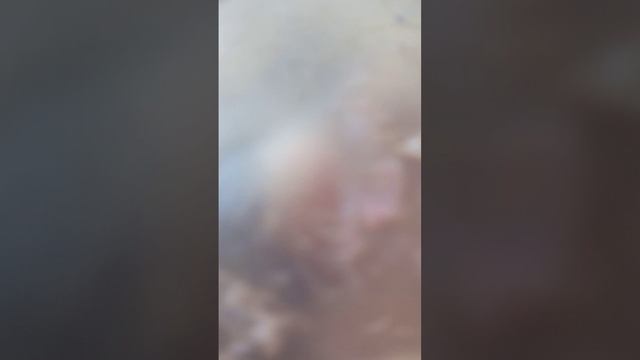 Жопа жопа жопа бигимота смотреть онлайн