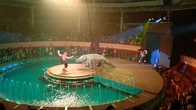 ЦИРК НА ВОДЕ. Часть 1