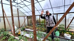 1 Мая.Мы РАБЫ ДАЧИ.Новая ШПАЛЕРА для томатов.МЯСО в аэрогриле