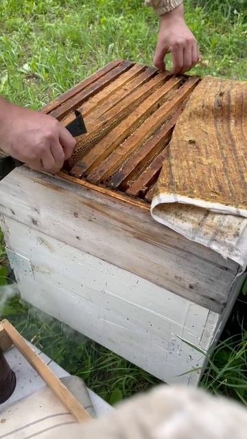 5 июля 2022 г.