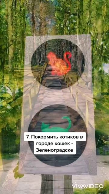 Калининград