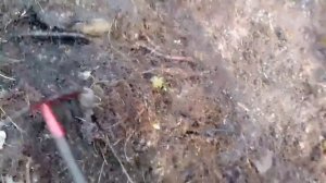 строю ДОМ В ЛЕСУ своими руками!