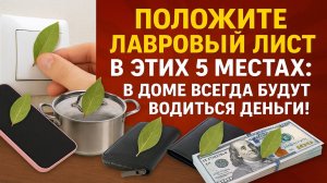 Положите лавровый лист в этих 5 местах: в доме всегда будут водиться деньги. Приметы