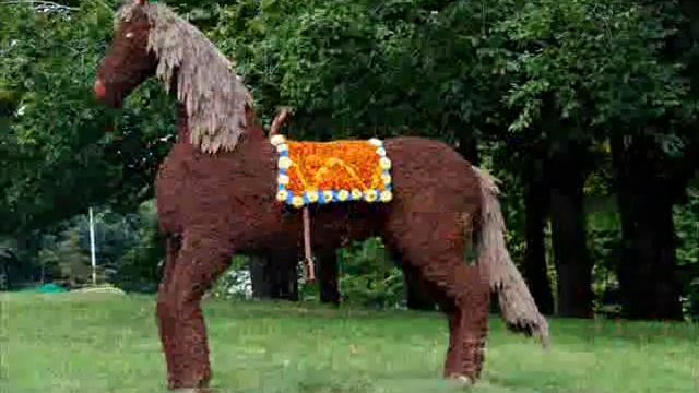 Выставки цветов в Киеве 2008-2010 смотреть онлайн