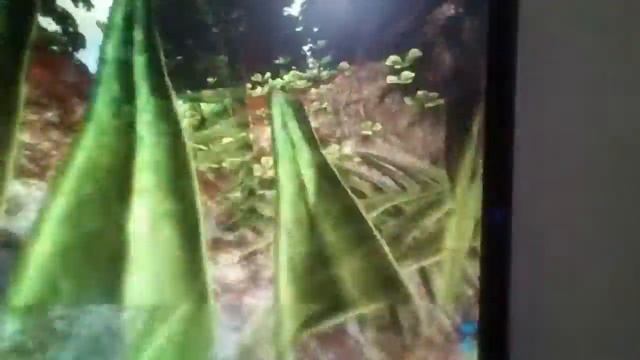 Альфа раптор , альфа Карно, альфа виверна против альфа рекса смотреть онлайн
