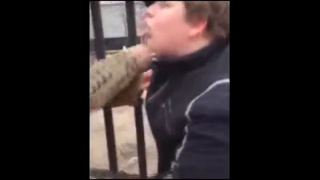 10 минут отборных приколов для взрослых мужиков COUB приколы за неделю 2017 смотреть онлайн