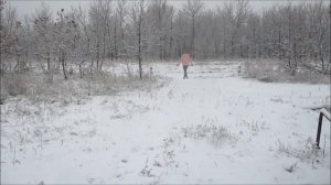 Переодевания в женские вещи и не более, cross dressing in women's clothes