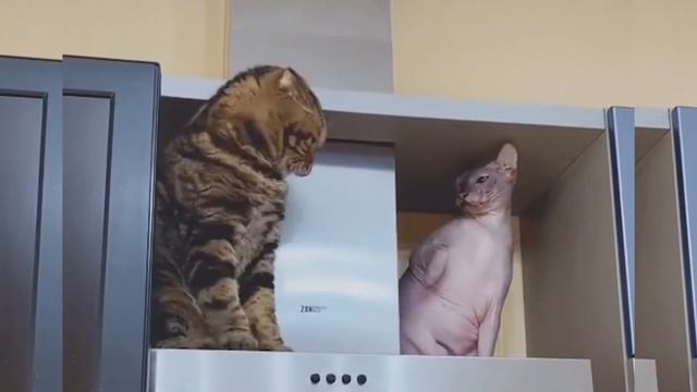 Ну давайте знакомиться смотреть онлайн