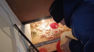 ПОТРАТИЛИ МНОГО ДЕНЕГ/СТРОИМ,САЖАЕМ/НЕ УСПЕВАЮ ЗА МУЖЕМ/ХОРОШО В ДЕРЕВНЕ