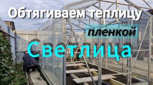 Пленка СВЕТЛИЦА вместо поликарбоната для теплицы.