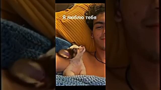 я люблю тебя!