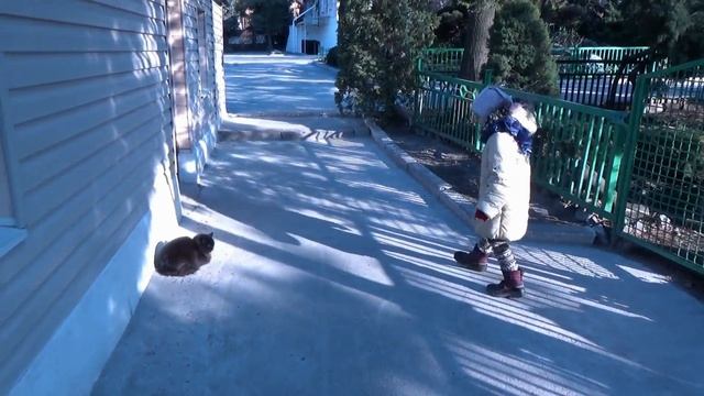 ОЛИ влог ЧАСТЬ 2: КОТИКИ. Ботанический сад. Украина Запорожье. Коты приколы под музыку подборка 201 смотреть онлайн