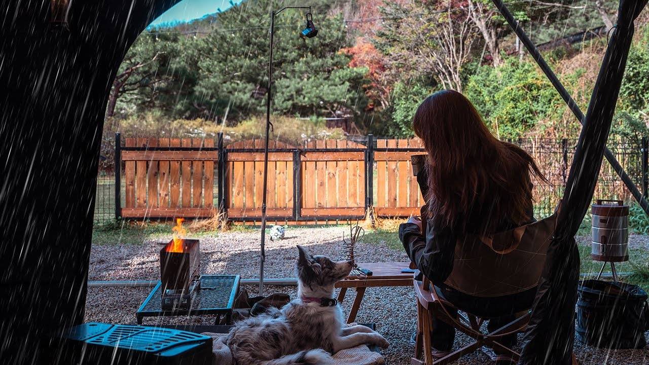 Самый уютный одиночный поход под дождем, расслабьтесь и поспите в палатке | Camping Rain ASMR смотреть онлайн