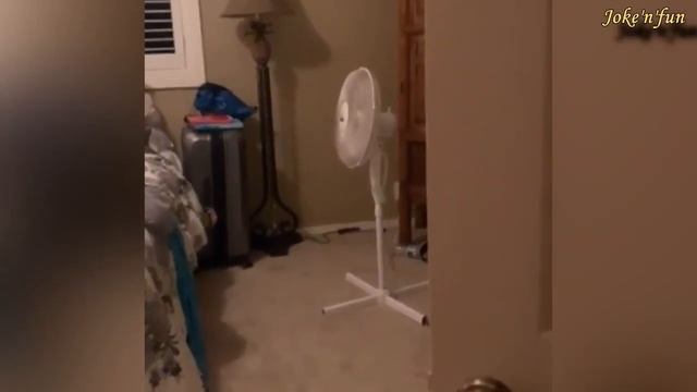Powerful Scare Cam And Pranks l Мощные испуги, приколы над людьми смотреть онлайн