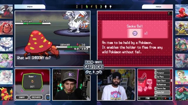 We Battle EACH OTHER In This Pokémon Nuzlocke! Cagelocke #10