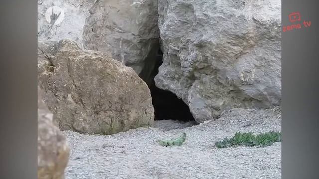 Лучшие приколы, бомбезная нарезка))) 18+ смотреть онлайн