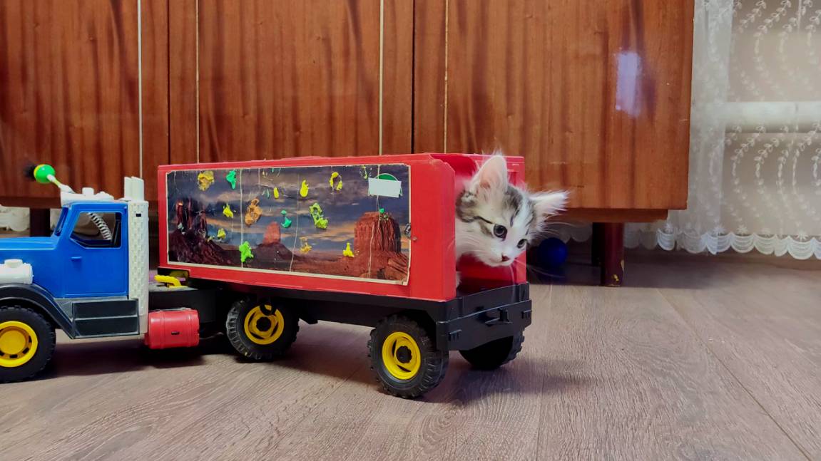 Котята играют с детскими игрушками 1. Мама-кошка и ее котята. смотреть онлайн