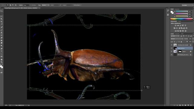 Beetle2015 08 Zbrush painting basics смотреть онлайн