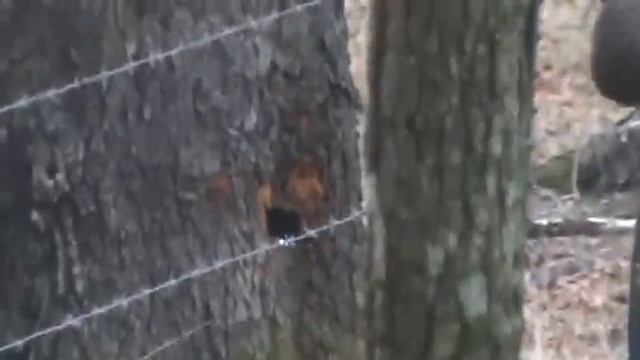 co2 bomb смотреть онлайн