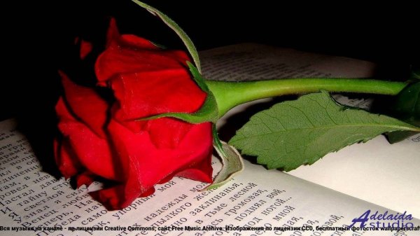 ❤ ❤ ❤ Музыка для влюбленных душ - Peaceful Oasis -- Denys Brodovskyi -- Chasing the Dream.mp4