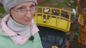 Видео привет с 6 соток 29 апреля 2025 года