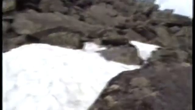 Помяненный 2000