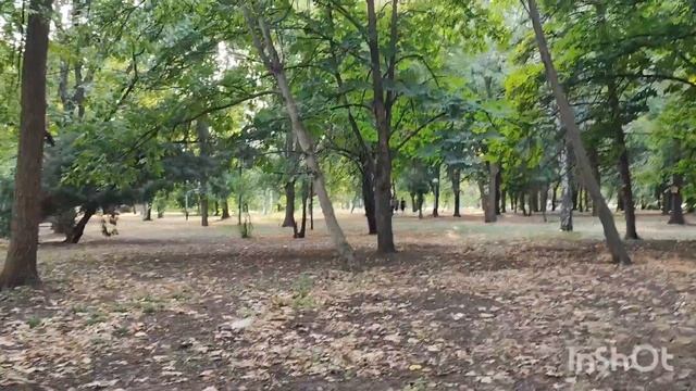 2024г. Лучшее средство от грусти😍 // Я его всё-таки съела😁 // Mariya VD LIFE. смотреть онлайн