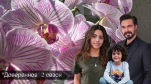 ДОВЕРЕННОЕ 264 серия. Сехер умирает!