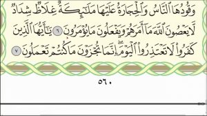 Читаю суру ат-Тахрим ( 66) один раз от начала до конца #ArabiYA#Narzullo #АрабиЯ #Нарзулло